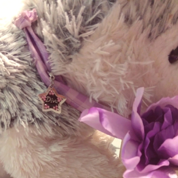 Other - Black & Pink Star Diva Collar Charm